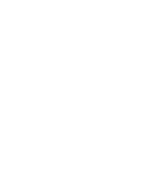 Marshin